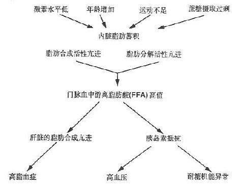 内脏脂肪症候群代谢异常