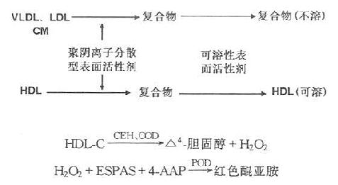 一、高密度脂蛋白胆固醇测定