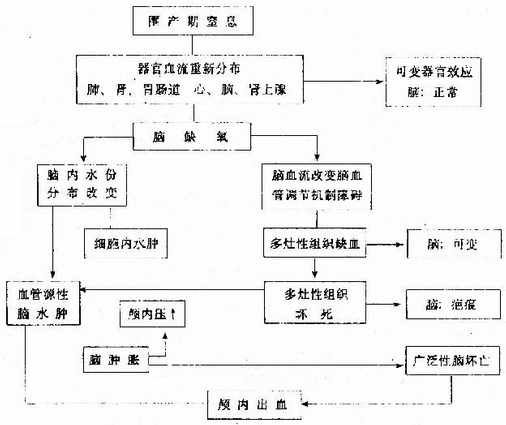 新生儿缺氧缺血性脑病