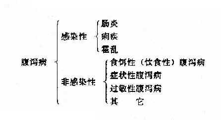 腹泻病临床分类