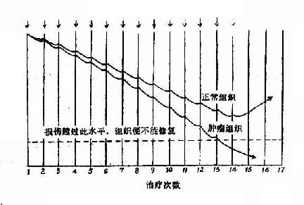 肿瘤治愈示意图