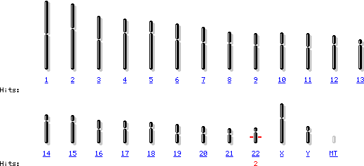 在第22条染色体上NF2基因表达