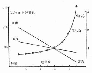 二、气体交换失常