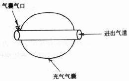 鼻中隔血肿