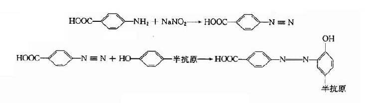 三、半抗原免疫原的制备