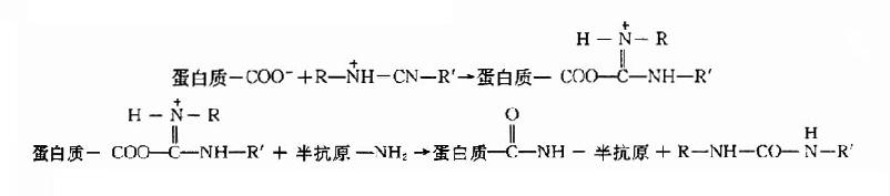 三、半抗原免疫原的制备