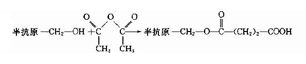 三、半抗原免疫原的制备