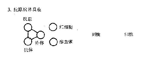 补体结合试验示意图