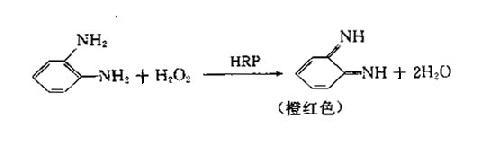 一、试剂的制备