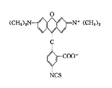 二、荧光物质