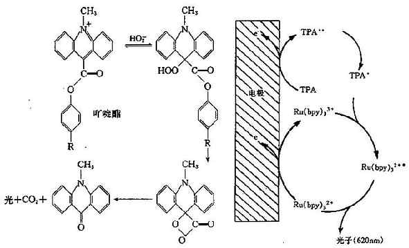 电化学发光原理