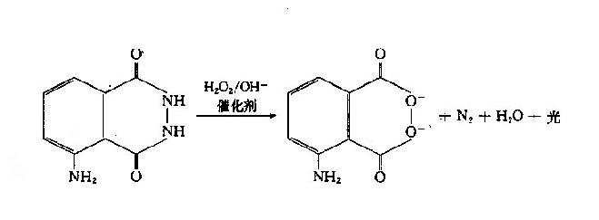 第二节　化学发光底物