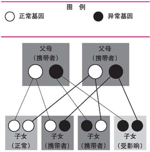 异常隐性基因遗传