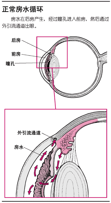 正常房水循环