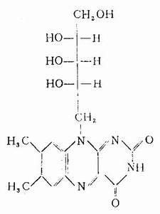 维生素B(乳黄素)