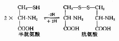 二、含硫氨基酸的代谢