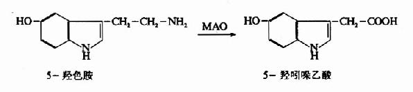 三、5－羟色胺（5－ydroxytryptamine 简写5－HT)