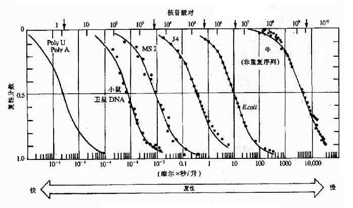 不同物种核酸的Cot曲线