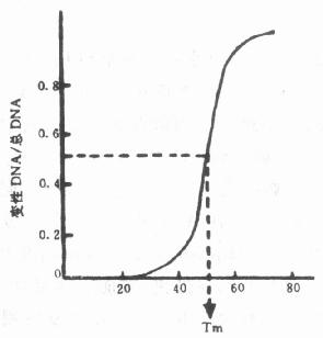 DNA的Tm值 