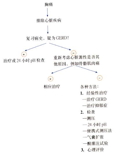 诊断胸痛的程序