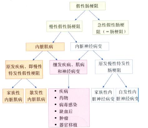 假性肠梗阻。