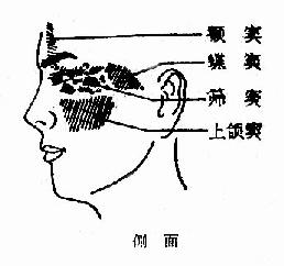 鼻窦体表位置