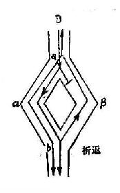 环形折返激动示意图