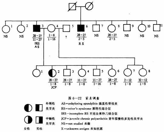 末端补体分子的结构功能域