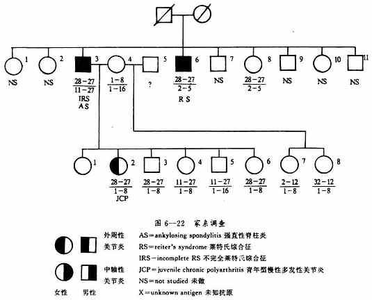 HLA-B27与某些疾病的相关情况