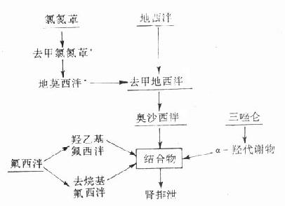 第十四章　镇静催眠药