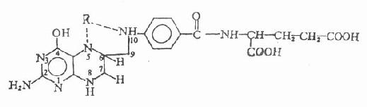 四氢叶酸及其一碳单位取代物的结构和名称