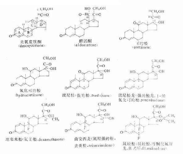 第三十四章　肾上腺皮质激素类药物