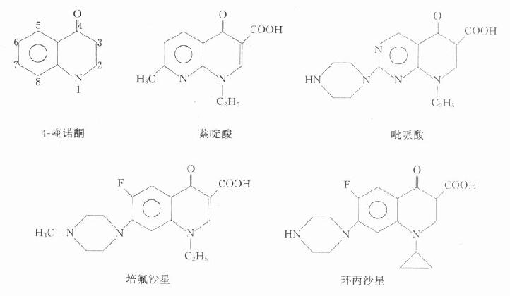 一、喹诺酮类药物概述