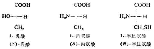 三、含一个手性碳原子的分子