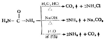 三、重要的酰胺及其衍生物