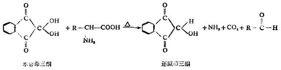 二、氨基酸的性质