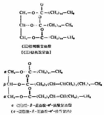 一、油脂的组成