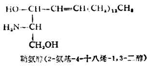 一、磷脂