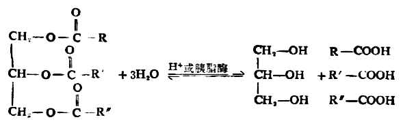 二、油脂的性质