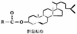 三、甾族化合物