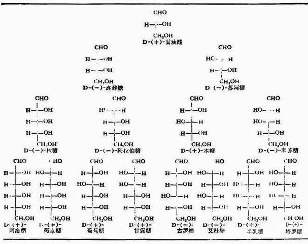 一、单糖的结构