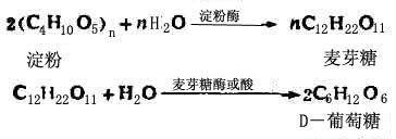 二、重要的二糖