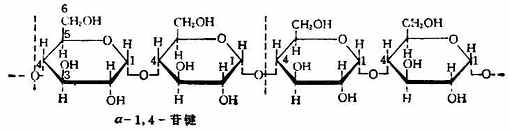 二、重要的多糖