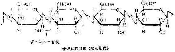 二、重要的多糖