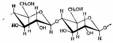 纤维素的结构