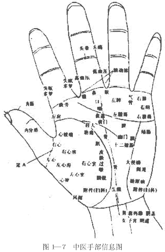 中医手部信息图